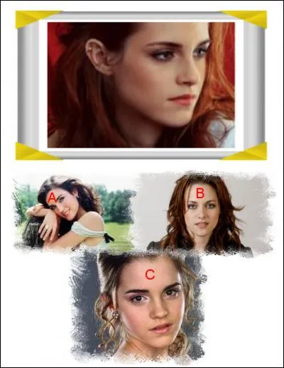 La star qui n'est pas présente sur la photo truquée est :