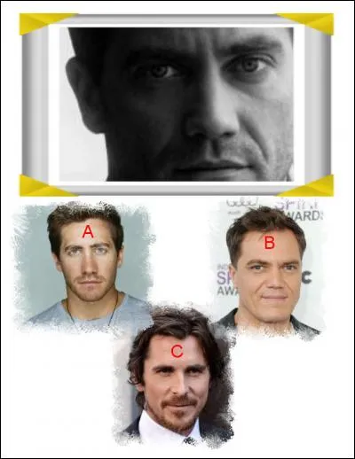 La star qui n'est pas présente sur la photo truquée est :