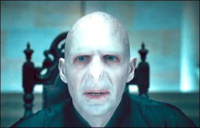 Qui est Voldemort ?