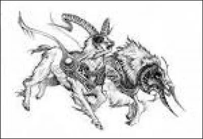 Qui sont les boucs de Thor ?