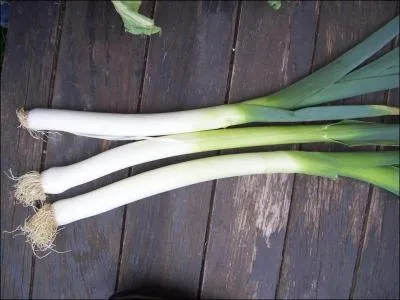 Comment s'appelle ce lgume ?