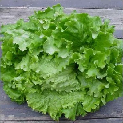 Comment s'appelle ce lgume ?