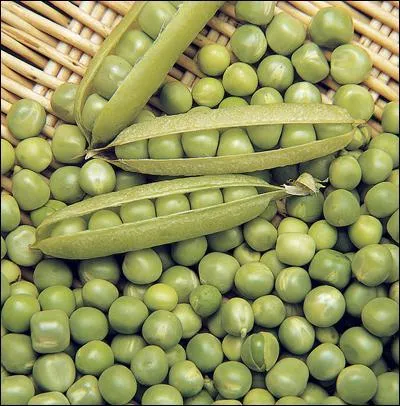 Comment s'appelle ce lgume ?