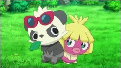 Quels sont ces Pokémon ?