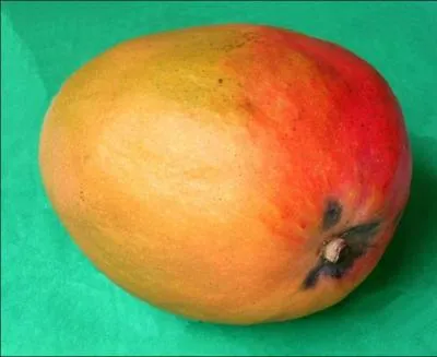 Comment s'appelle ce fruit ?