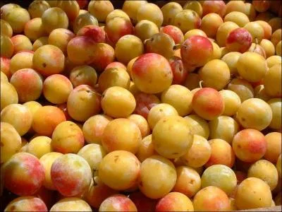 Comment s'appelle ce fruit ?