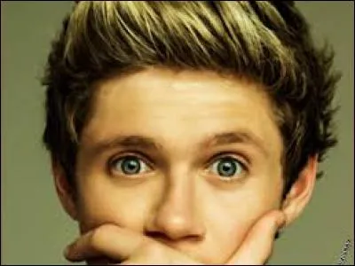 Quel est le plat préféré de Niall ?