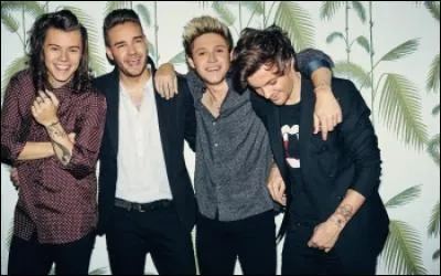 Qui est parti du groupe en 2015 ?