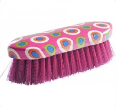 Quel est le nom de cette brosse ?