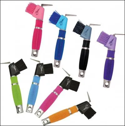 Quel est le nom de cet instrument de pansage ?