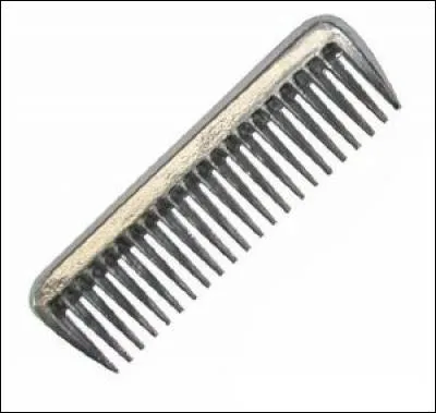 Quel est le nom de cet intrument de pansage ?