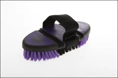 Quel est le nom de cette brosse ?