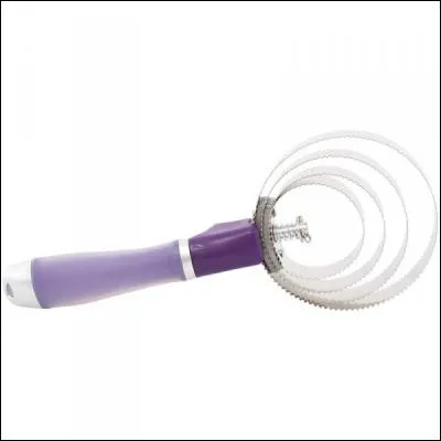 Quel est le nom de cette brosse ?