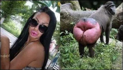 C'est devenu une mode, de plus en plus pratiquée, on se fait ravaler la façade !