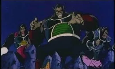 Quelle est la particularité des Saiyans purs ?