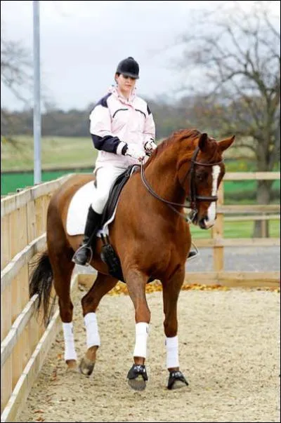 À quel main est ce cheval ?