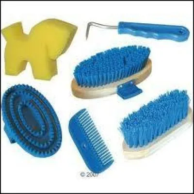 Comment s'appellent toutes les brosses à droite ?