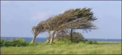 Lequel de ces vents trouverez-vous au sud de la France ?