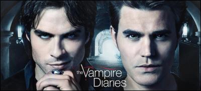 Que sont Stefan et Damon ?