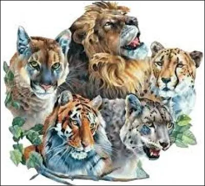 Tous les félins ont des griffes rétractiles sauf un. Lequel ?