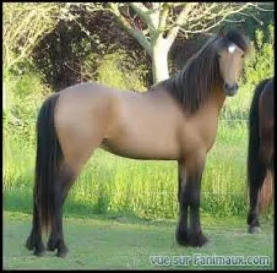 Quelle est cette robe ?