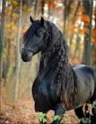 Quelle est cette robe ?