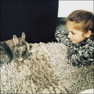 Comment se nomme le lapin de Erza ?