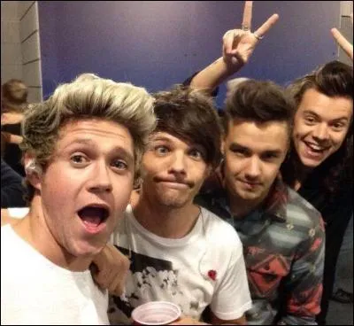 De quel groupe de musique fait-il partie ?