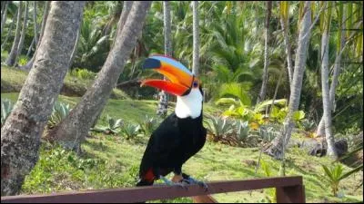 A la fin, la caméra d'Alex fut volée par...