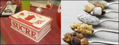 Le produit « pannelle » n'est pas conseillé à certaines personnes. Cela pourrait être dangereux pour leur santé et, aussi, pour leur vie. Et pourtant, ce produit permet de faire de si bonne chose ! En plus, ce produit nous est indispensable ! 
Qu'est-ce que signifie « pannelle » ?