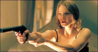 Un "polar" désigne :