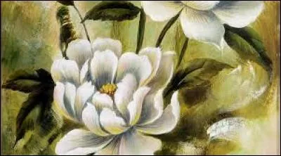 Désigne un hareng en caque, fraîchement salé :