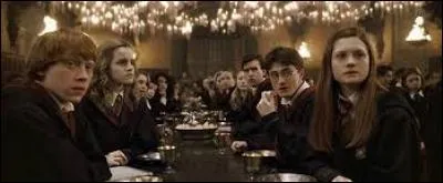 Quel est le plat préféré de Harry Potter ?