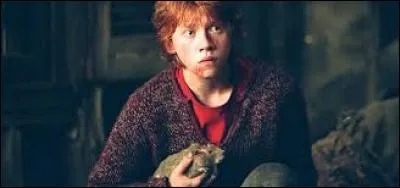 Un des rats jouant le rôle de Croûtard a fait la grosse commission sur Rupert Grint.