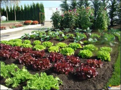 De quel amour parle-t-on dans la chanson ?