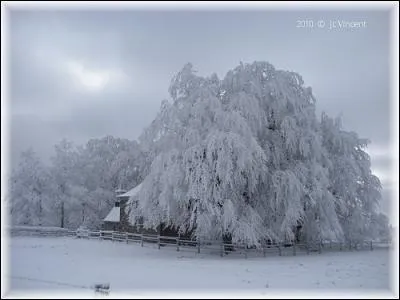 Pourquoi a-t-il du frimas sur les l&egrave;vres ?