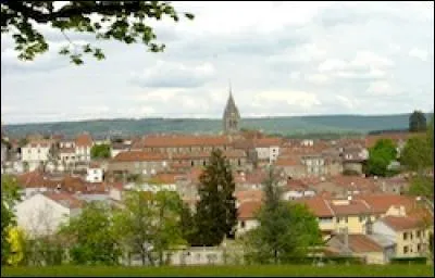 Dans quel département se trouve la station thermale de Bourbonne-les-Bains ?