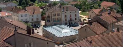 Dans quel département se trouve la station thermale de Bains-les-Bains ?