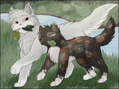 Qui est le chat blanc ?