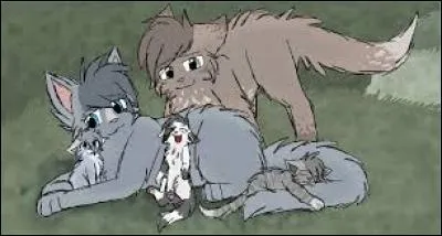 Qui est le chat brun ?