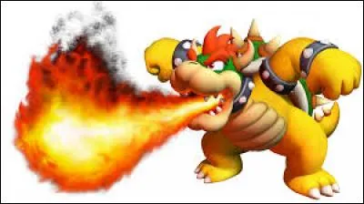 Qui est l'ennemi de Mario ?