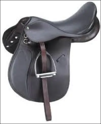 Quel est cet accessoire ?