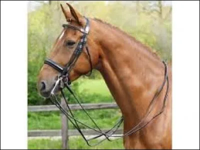 Quel est cet accessoire ?