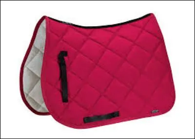 Comment se nomme ceci ?