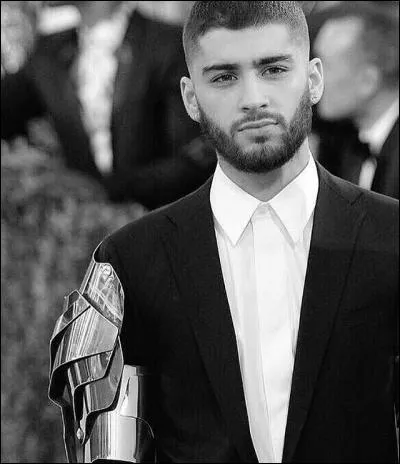 Comment appelle-t-on le couple Zayn-Perrie ?