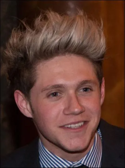 De quel pays Niall vient-il ?