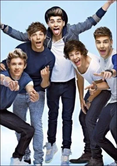 Comment appelle-t-on les gens qui sont fans des One Direction ?