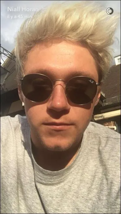 De qui apparemment a été fan Niall ?