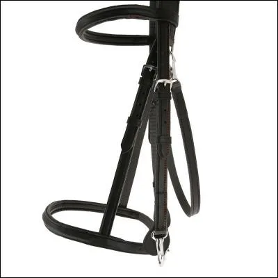 Comment appelle-t-on cet objet ?