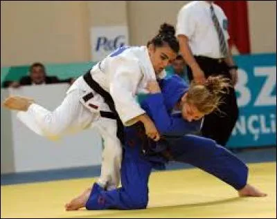 Quel est le grade le plus élevé parmi ces ceintures au judo ?